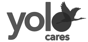 YoloCares